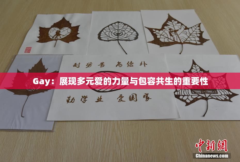Gay：展现多元爱的力量与包容共生的重要性