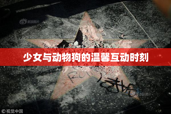 少女与动物狗的温馨互动时刻