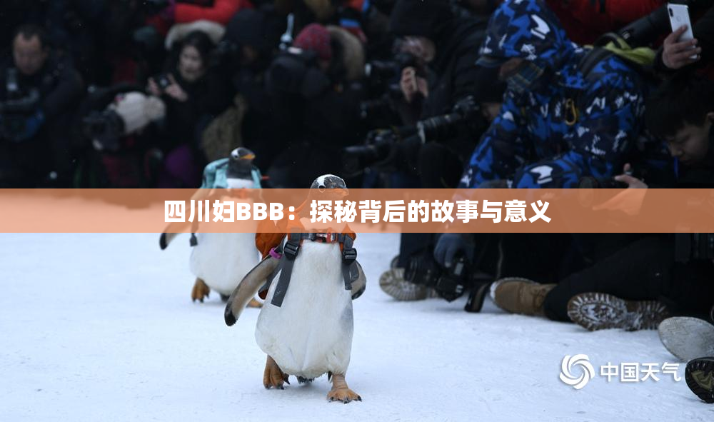 四川妇BBB：探秘背后的故事与意义