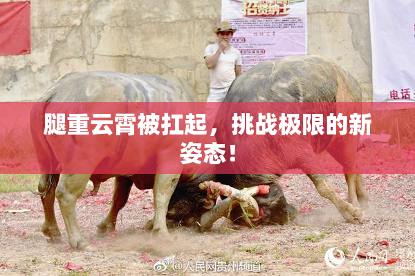 腿重云霄被扛起，挑战极限的新姿态！