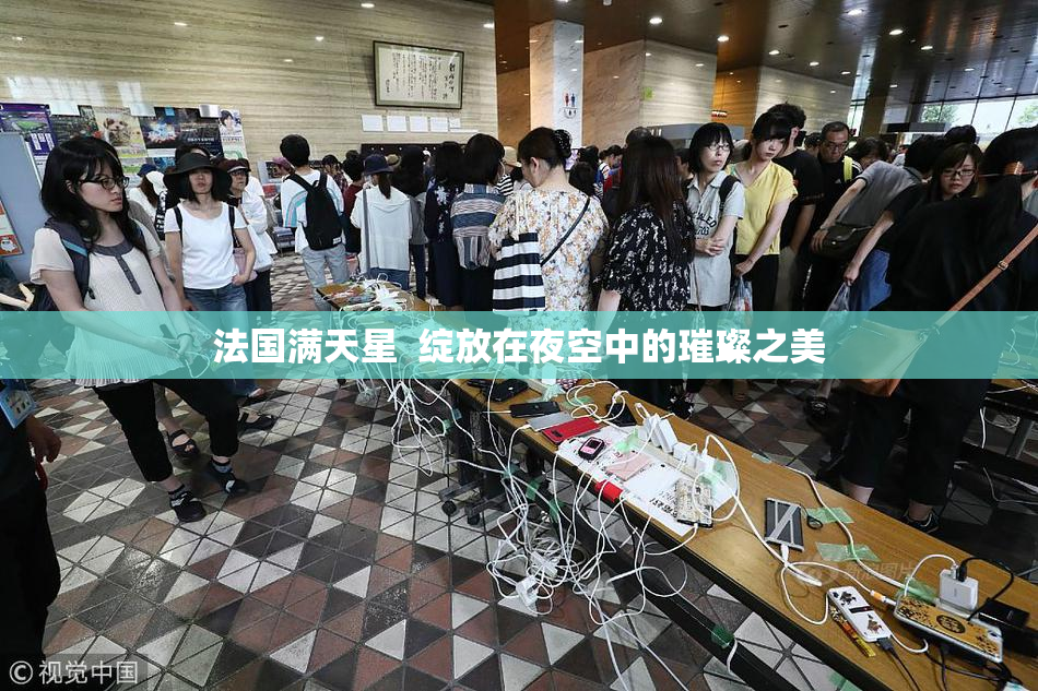 法国满天星  绽放在夜空中的璀璨之美