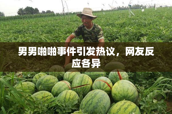 男男啪啪事件引发热议，网友反应各异