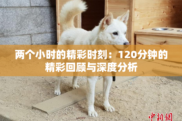 两个小时的精彩时刻：120分钟的精彩回顾与深度分析