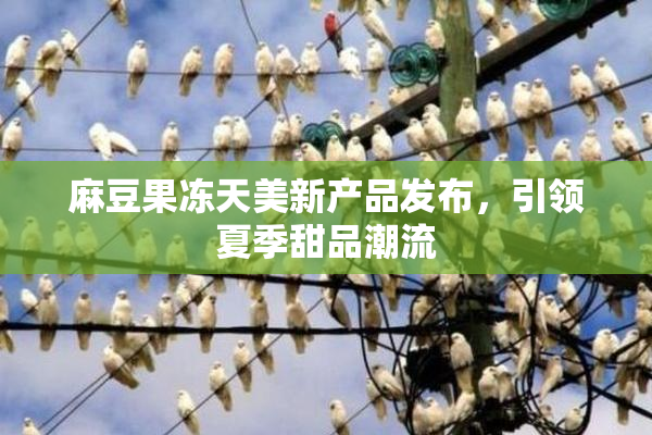 麻豆果冻天美新产品发布，引领夏季甜品潮流