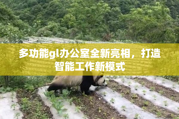 多功能gl办公室全新亮相，打造智能工作新模式
