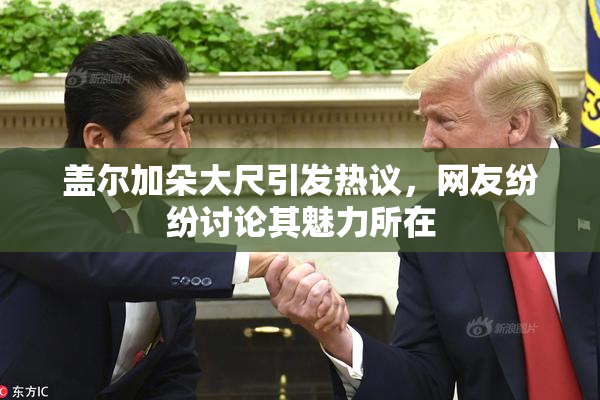 盖尔加朵大尺引发热议，网友纷纷讨论其魅力所在