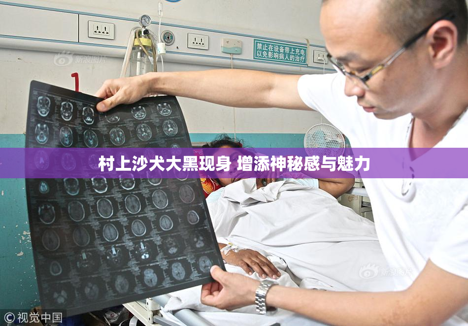 村上沙犬大黑现身 增添神秘感与魅力