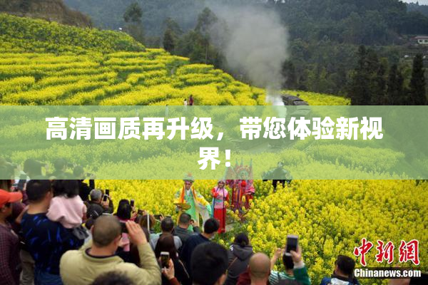高清画质再升级，带您体验新视界！