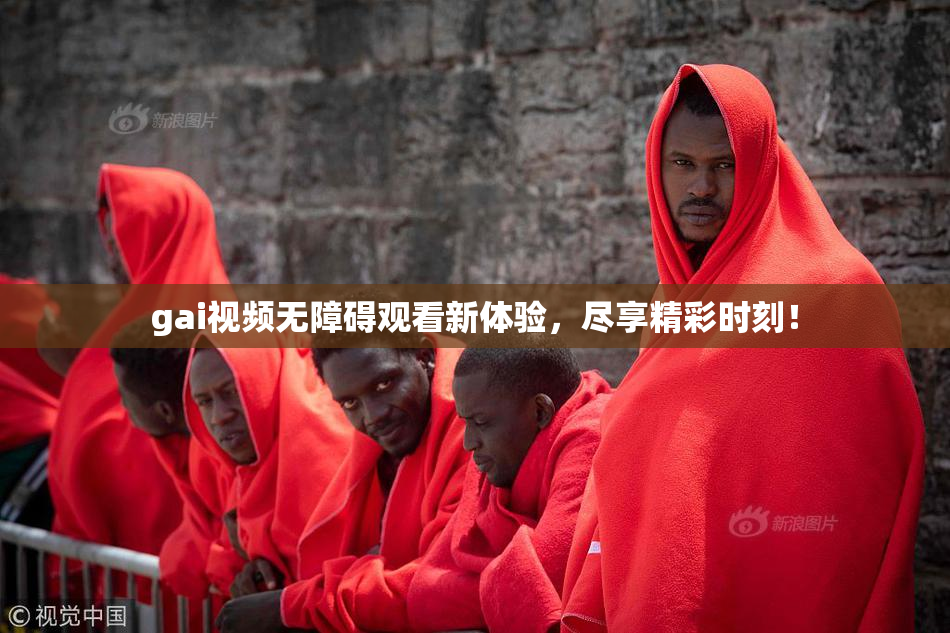 gai视频无障碍观看新体验，尽享精彩时刻！