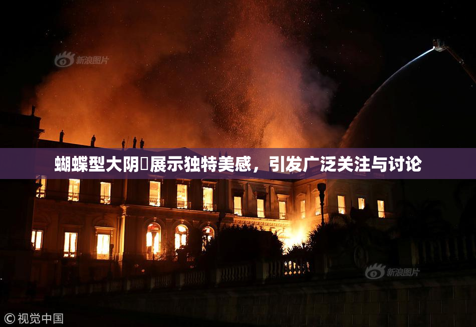 蝴蝶型大阴脣展示独特美感，引发广泛关注与讨论