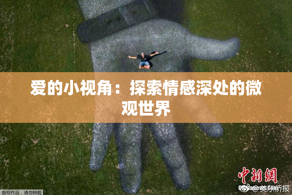 爱的小视角：探索情感深处的微观世界