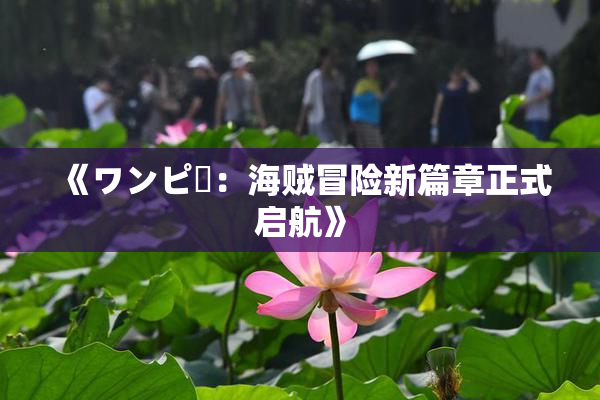 《ワンピー：海贼冒险新篇章正式启航》