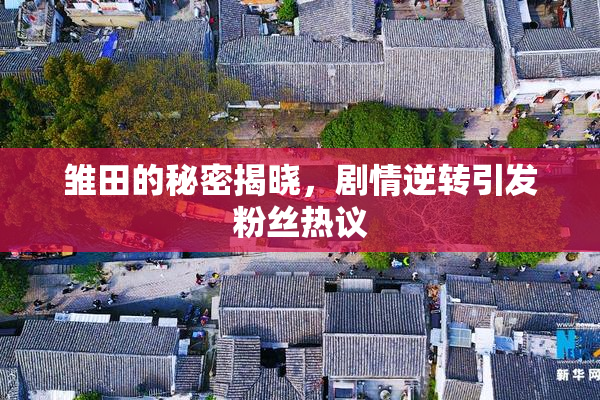 雏田的秘密揭晓，剧情逆转引发粉丝热议