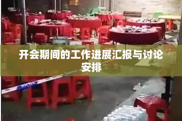 开会期间的工作进展汇报与讨论安排