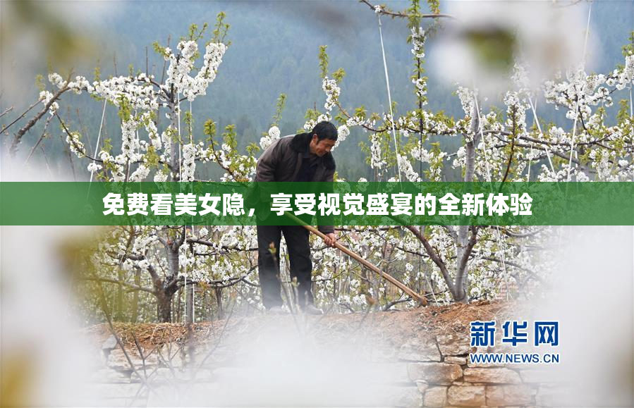 免费看美女隐，享受视觉盛宴的全新体验