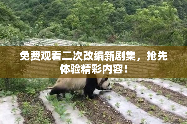 免费观看二次改编新剧集，抢先体验精彩内容！