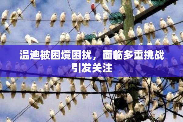 温迪被困境困扰，面临多重挑战引发关注