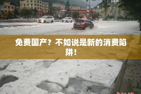 免费国产？不如说是新的消费陷阱！