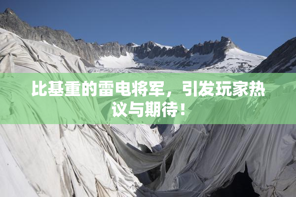 比基重的雷电将军，引发玩家热议与期待！