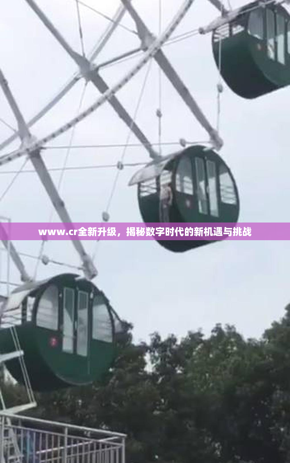 www.cr全新升级，揭秘数字时代的新机遇与挑战
