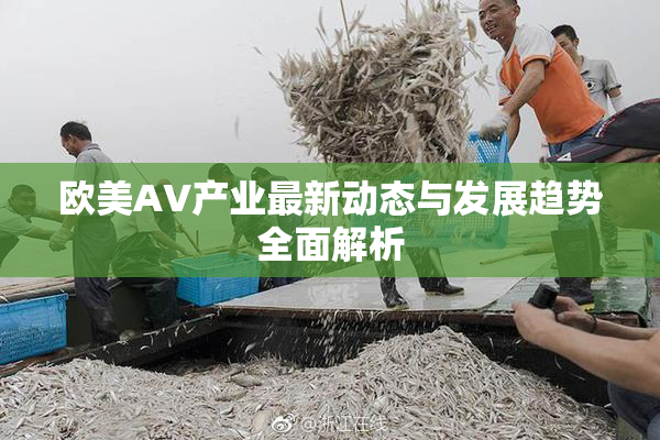 欧美AV产业最新动态与发展趋势全面解析