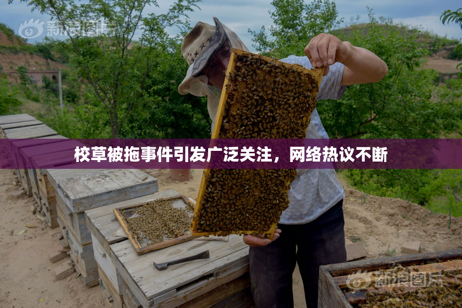 校草被拖事件引发广泛关注，网络热议不断
