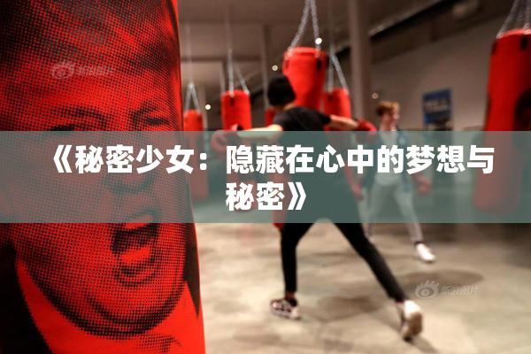 《秘密少女：隐藏在心中的梦想与秘密》