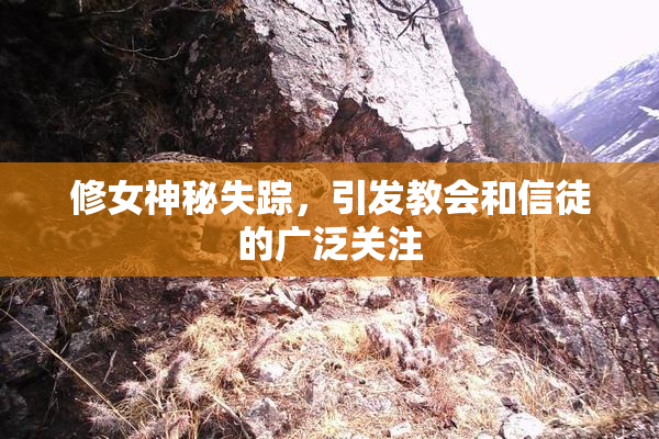 修女神秘失踪，引发教会和信徒的广泛关注