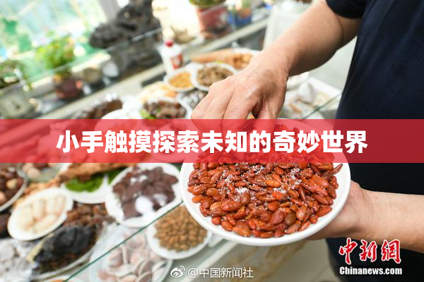 小手触摸探索未知的奇妙世界