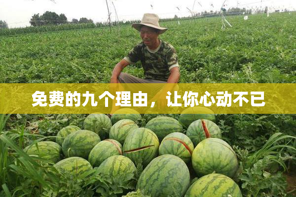 免费的九个理由，让你心动不已