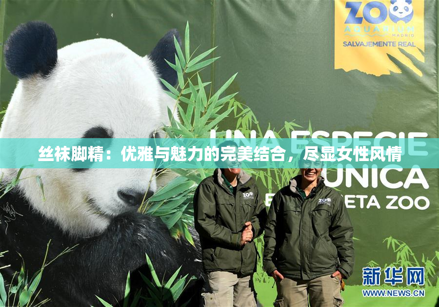 丝袜脚精：优雅与魅力的完美结合，尽显女性风情