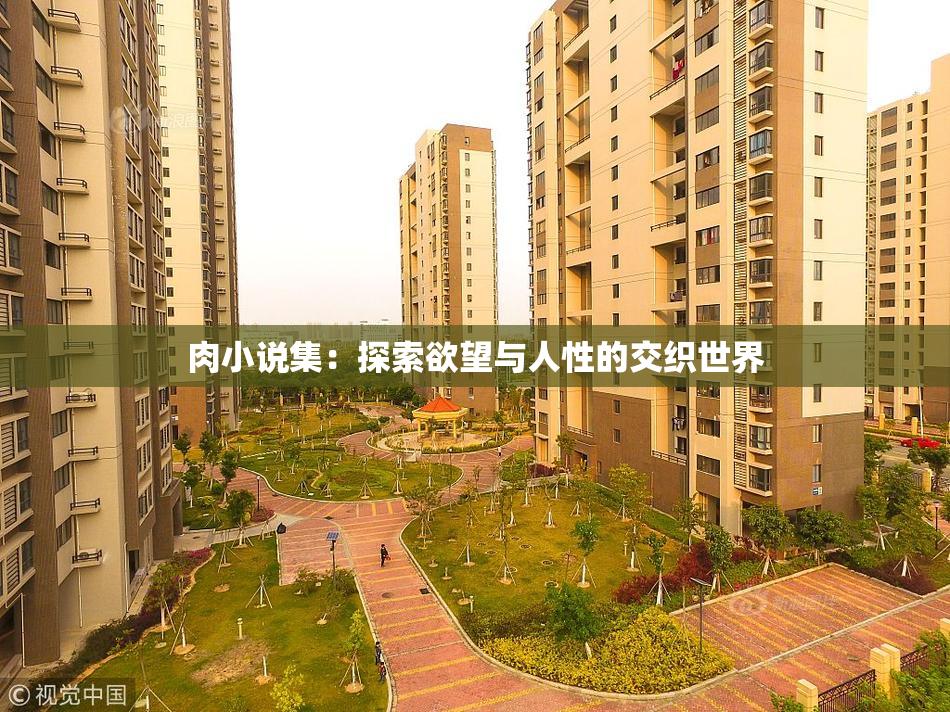 肉小说集：探索欲望与人性的交织世界