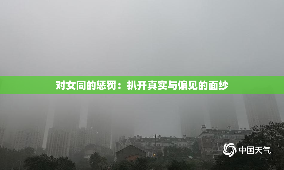 对女同的惩罚：扒开真实与偏见的面纱
