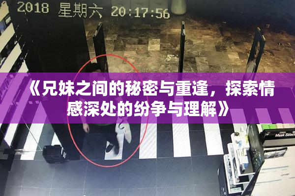 《兄妹之间的秘密与重逢，探索情感深处的纷争与理解》