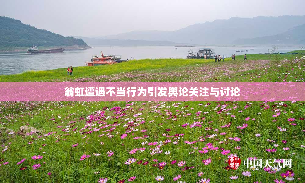 翁虹遭遇不当行为引发舆论关注与讨论