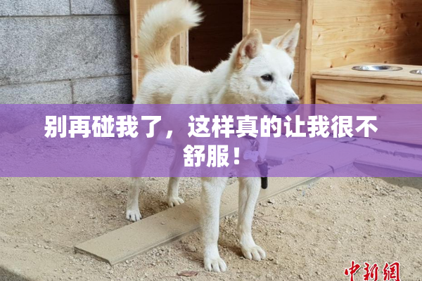 别再碰我了，这样真的让我很不舒服！