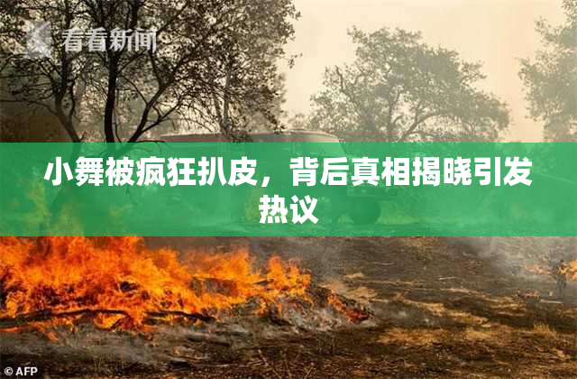 小舞被疯狂扒皮，背后真相揭晓引发热议