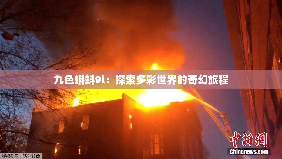 九色蝌蚪9l：探索多彩世界的奇幻旅程