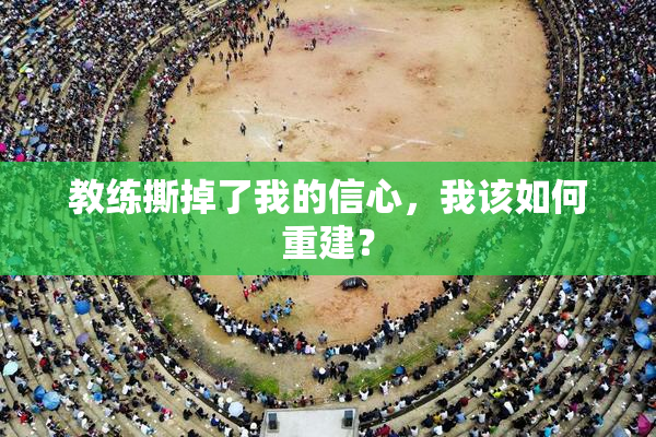 教练撕掉了我的信心，我该如何重建？