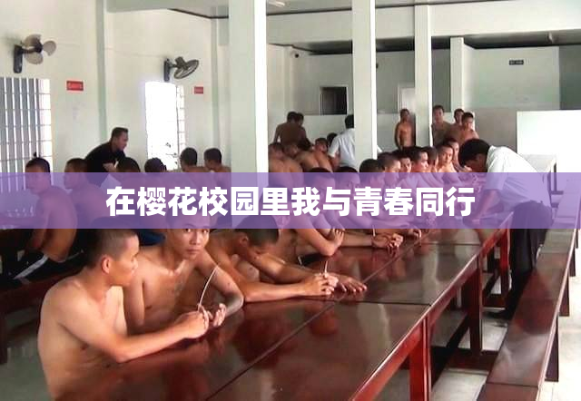 在樱花校园里我与青春同行