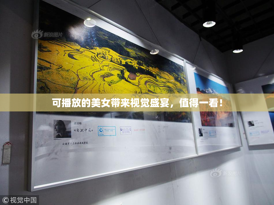 可播放的美女带来视觉盛宴，值得一看！