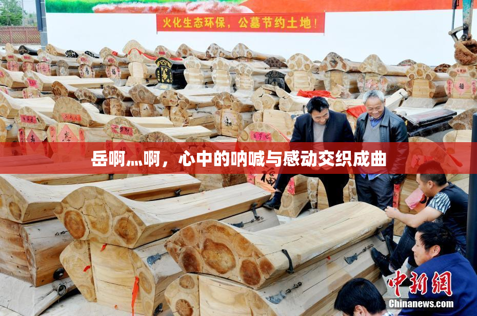 岳啊灬啊，心中的呐喊与感动交织成曲