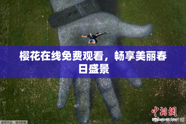 樱花在线免费观看，畅享美丽春日盛景