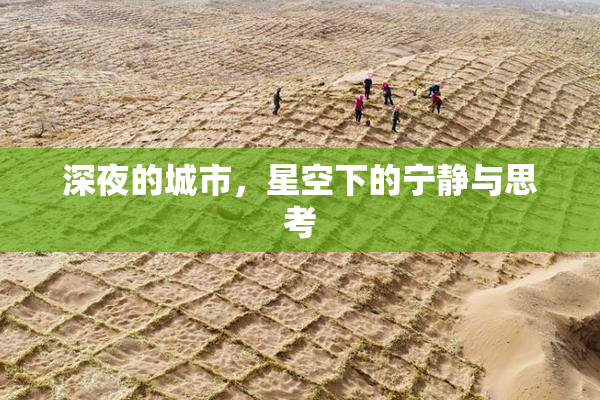 深夜的城市，星空下的宁静与思考