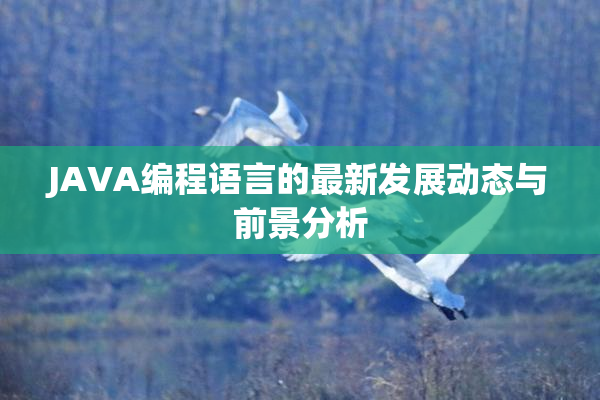 JAVA编程语言的最新发展动态与前景分析