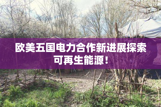欧美五国电力合作新进展探索可再生能源！