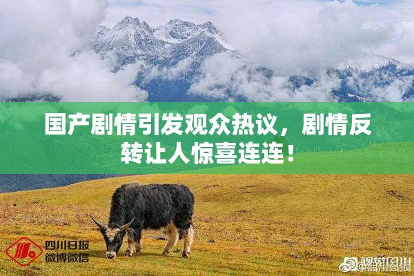 国产剧情引发观众热议，剧情反转让人惊喜连连！