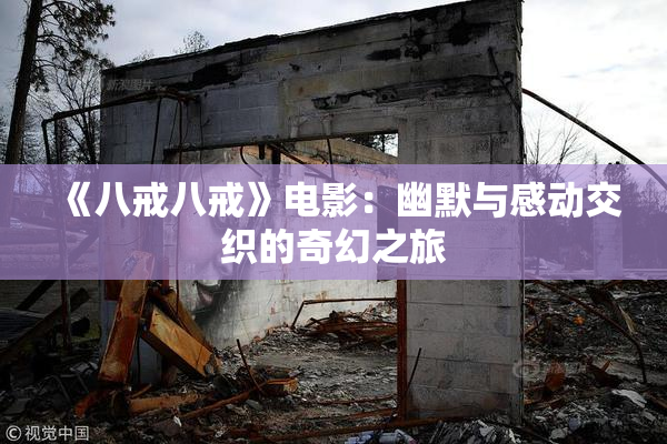 《八戒八戒》电影：幽默与感动交织的奇幻之旅