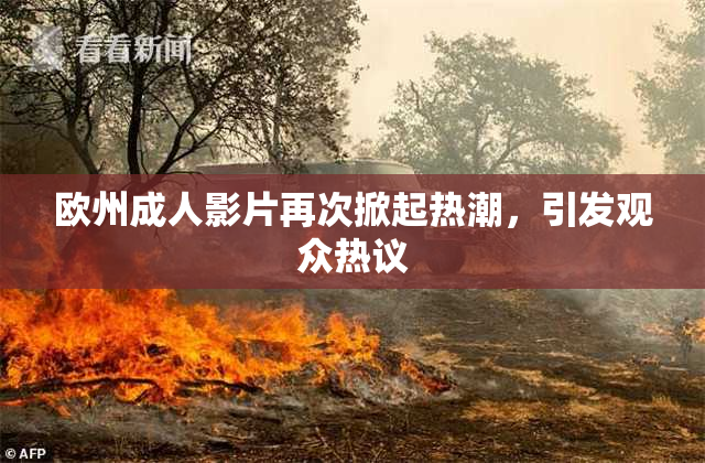 欧州成人影片再次掀起热潮，引发观众热议