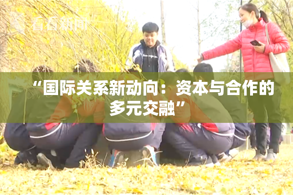 “国际关系新动向：资本与合作的多元交融”